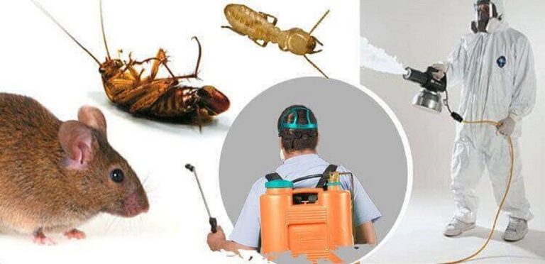 شركة مكافحة حشرات المنزل بالرياض